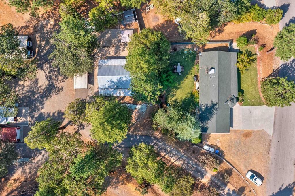 Acorn Cottage - Hidden Gem In Green Heaven, Getaway To Bass Lake & Yosemite Окгерст Екстер'єр фото
