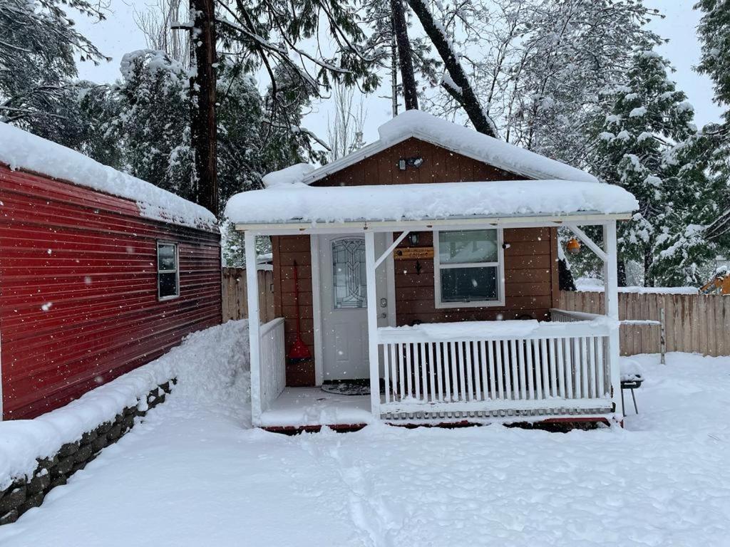 Acorn Cottage - Hidden Gem In Green Heaven, Getaway To Bass Lake & Yosemite Окгерст Екстер'єр фото